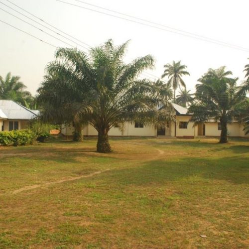 school ground area